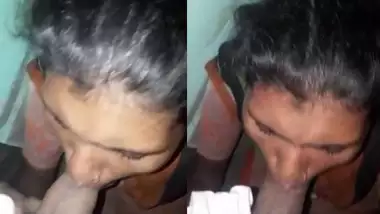 Dehati Adivasi girl giving blowjob to her lover video